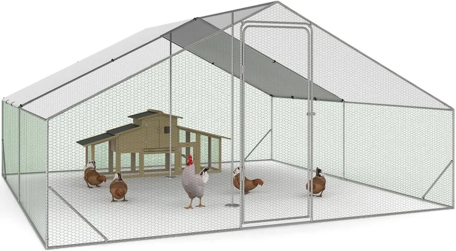 enclos poules 18m2
